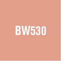 BW530