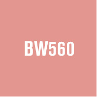BW560