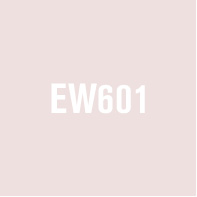 EW601
