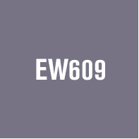 EW609