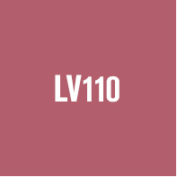 LV110